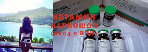 ГАЛЛЮЦИНОГЕННЫЕ ГРИБЫ Инта