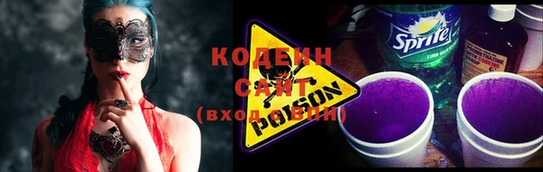 ГАЛЛЮЦИНОГЕННЫЕ ГРИБЫ Инта