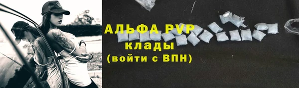 ГАЛЛЮЦИНОГЕННЫЕ ГРИБЫ Инта