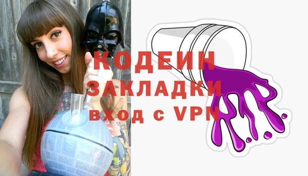 ГАЛЛЮЦИНОГЕННЫЕ ГРИБЫ Инта
